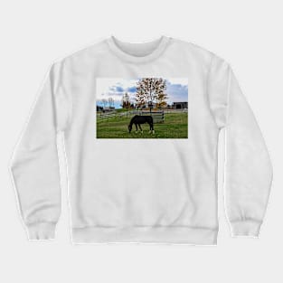 Autumn Tree and Horse Crewneck Sweatshirt